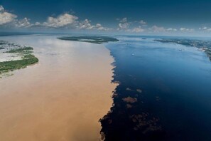 Vista aérea de una zona costera con una extensa masa de agua, una playa de arena y una área verde con vegetación.