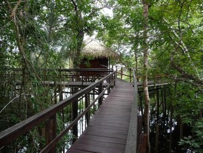 Un pont en bois mène à une construction à toit de chaume, entourée d’une végétation luxuriante.