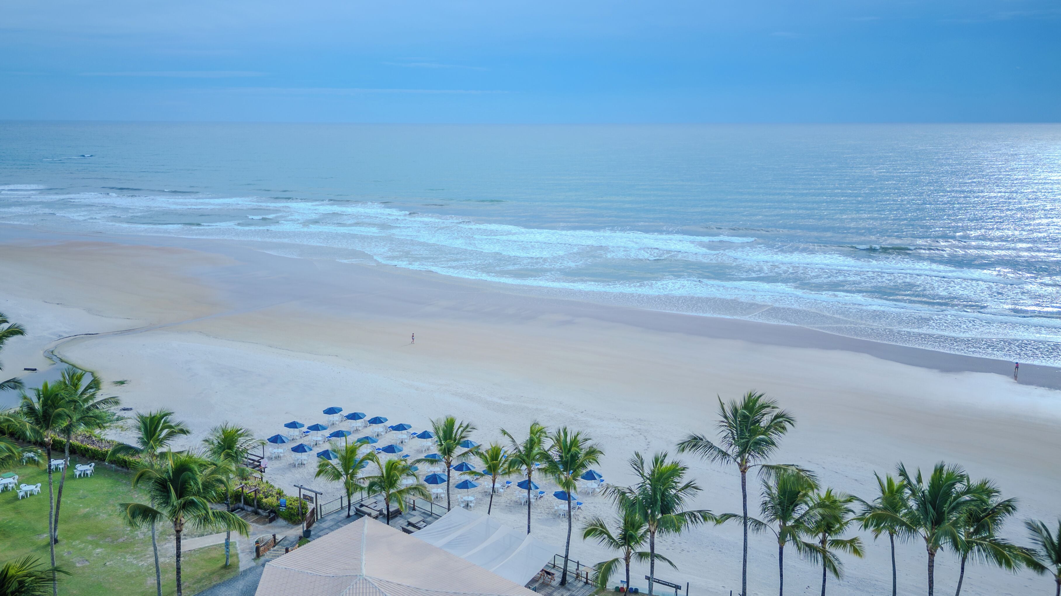 Um resort à beira-mar com uma praia de areia, palmeiras e guarda-sóis.