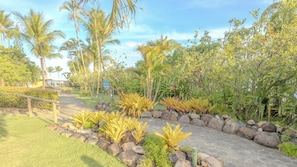 Un sendero bordeado de rocas y plantas tropicales que conduce a un edificio con un letrero azul.