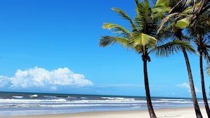 Una playa con palmeras y un cielo azul despejado.