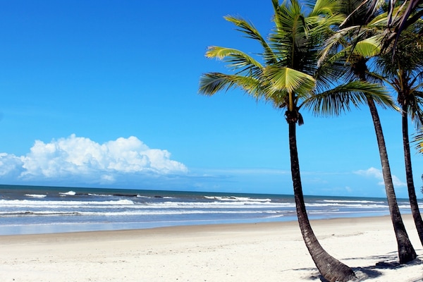 On the beach, white sand, sun loungers, beach umbrellas