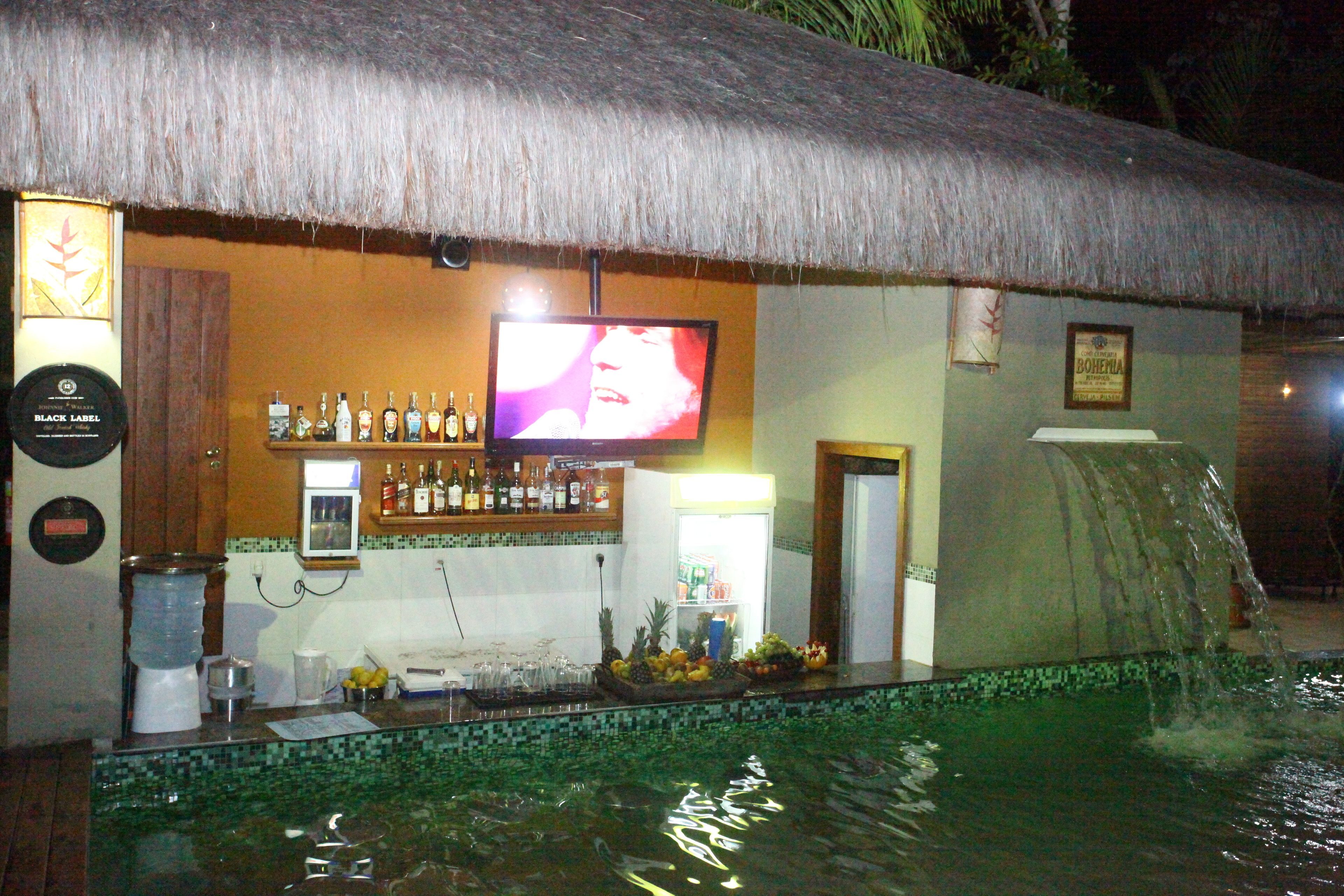 Una zona de bar con techo de paja, un televisor y un elemento decorativo de agua.