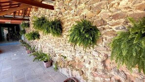 Paret de pedra amb falgueres penjants i plantes en testos en una zona coberta amb paviment de rajoles.