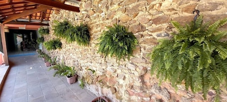 Servicio de la propiedad