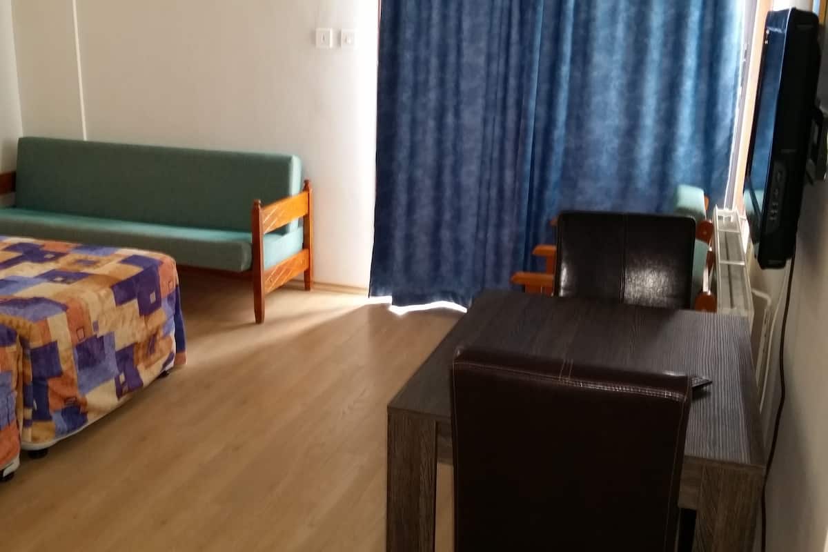 A hotel room with a bed, a sofa, a table, and a television.