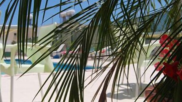 A poolside area with a white chair and palm leaves. - Agrino Hotel Apartments (Ayia Napa)