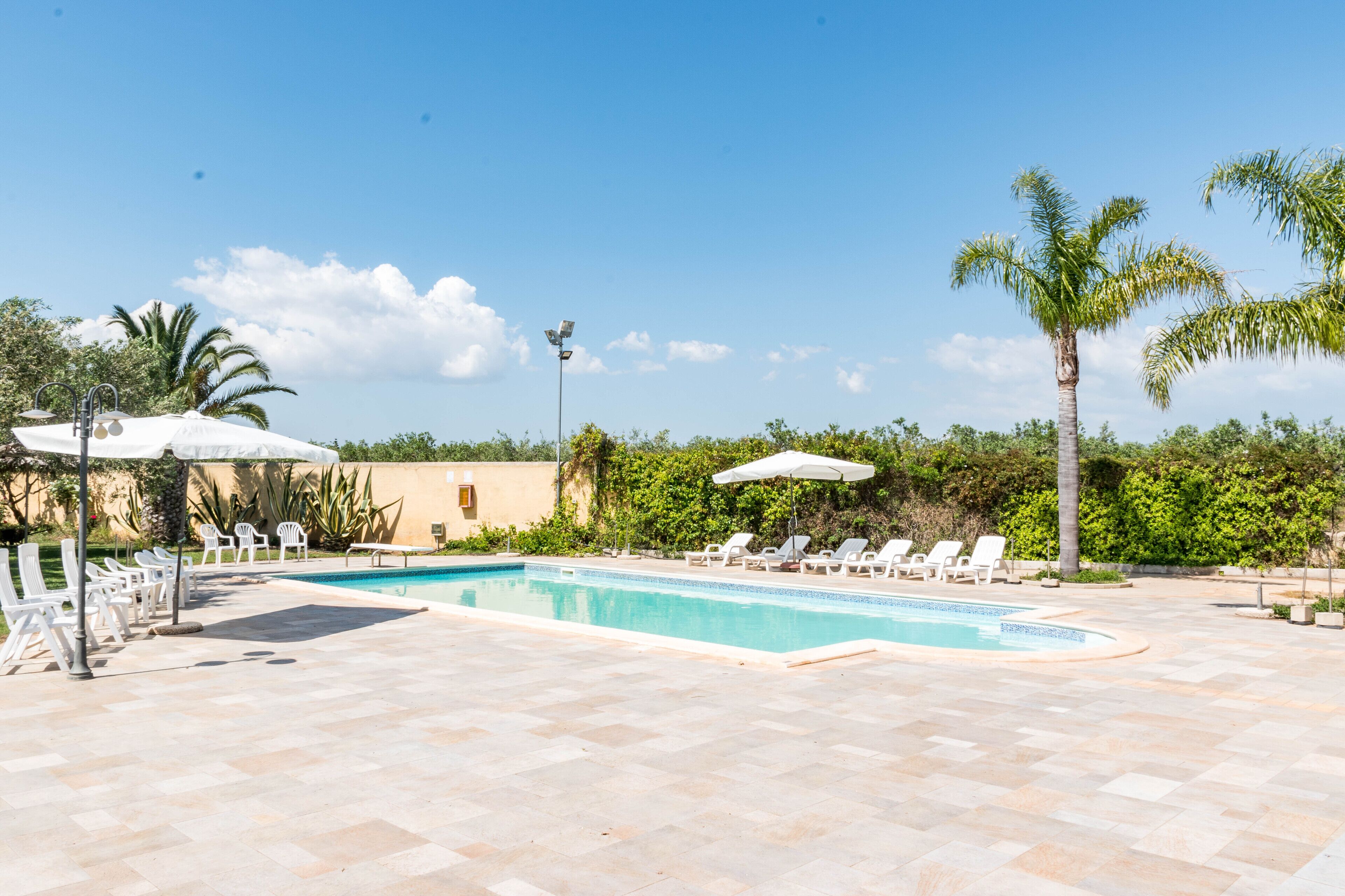 Piscina con sillones blancos y sombrillas, rodeada de palmeras y follaje.
