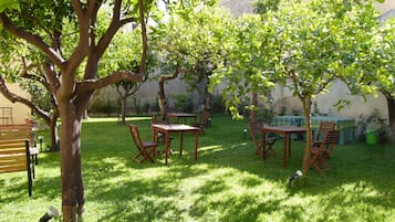 Un patio exterior bien cuidado con una mesa y sillas de madera, rodeado de exuberante vegetación y árboles.