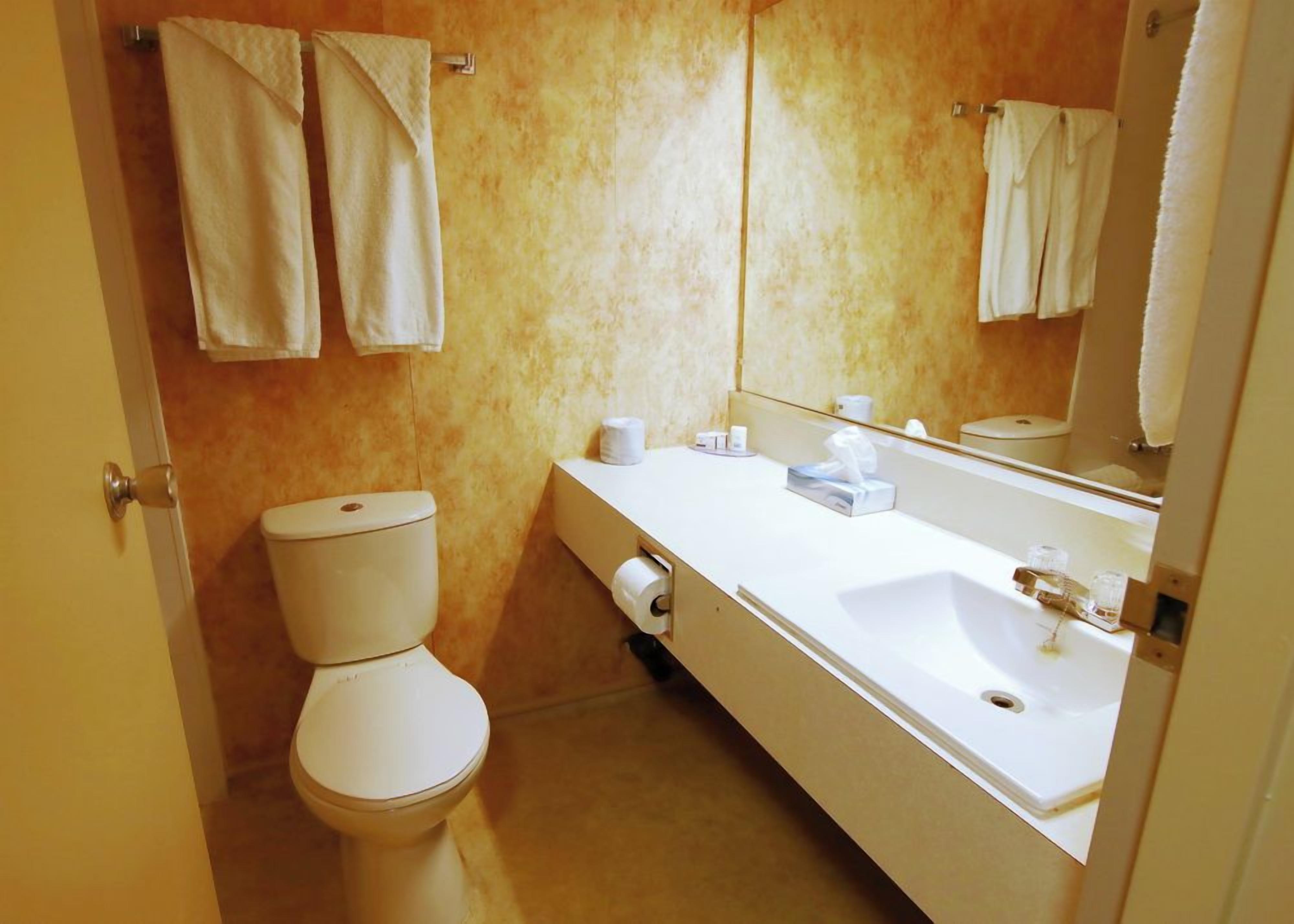 A bathroom with a toilet, sink, and mirror.