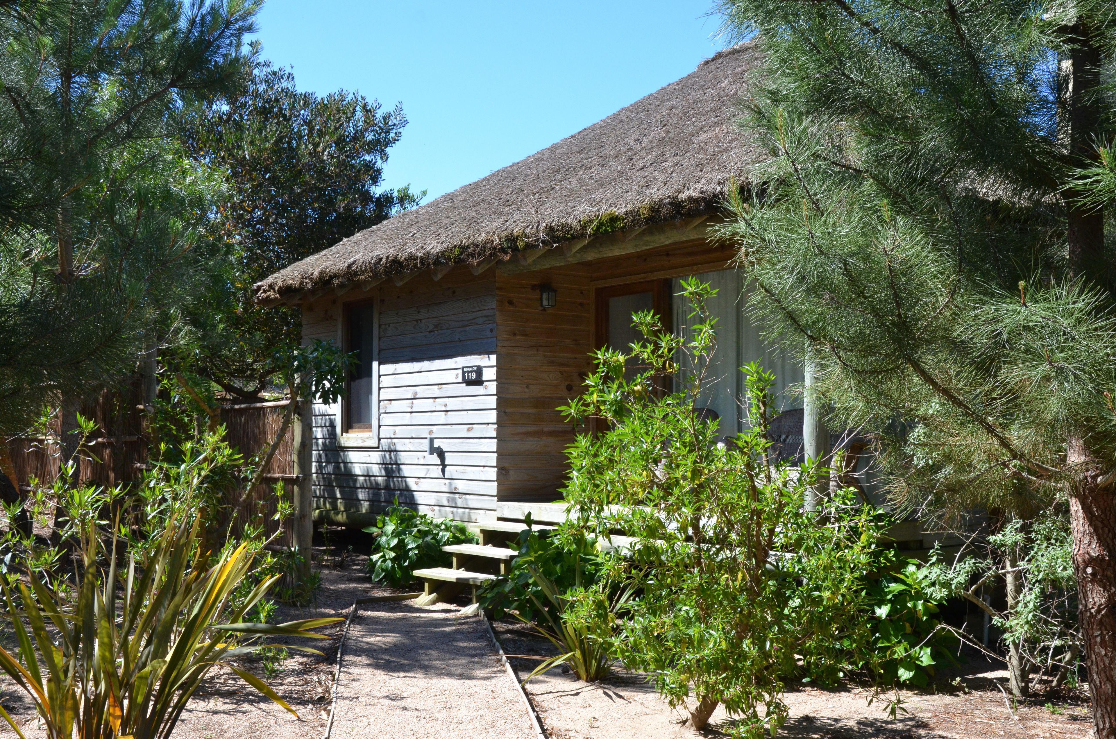 A rustic cabin with a thatched roof, surrounded by dense greenery and pine trees.