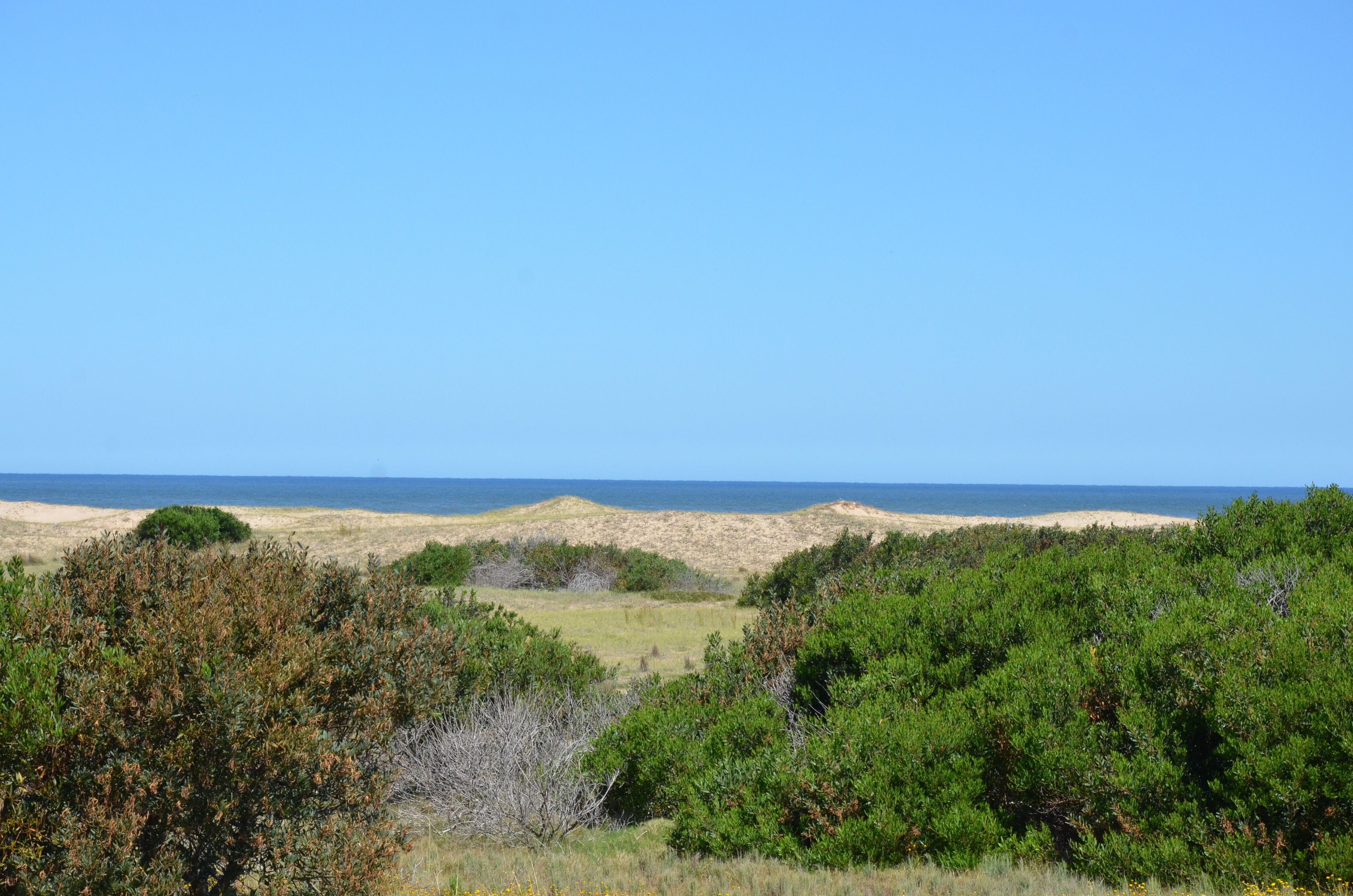 deluxe double room | beach/ocean view