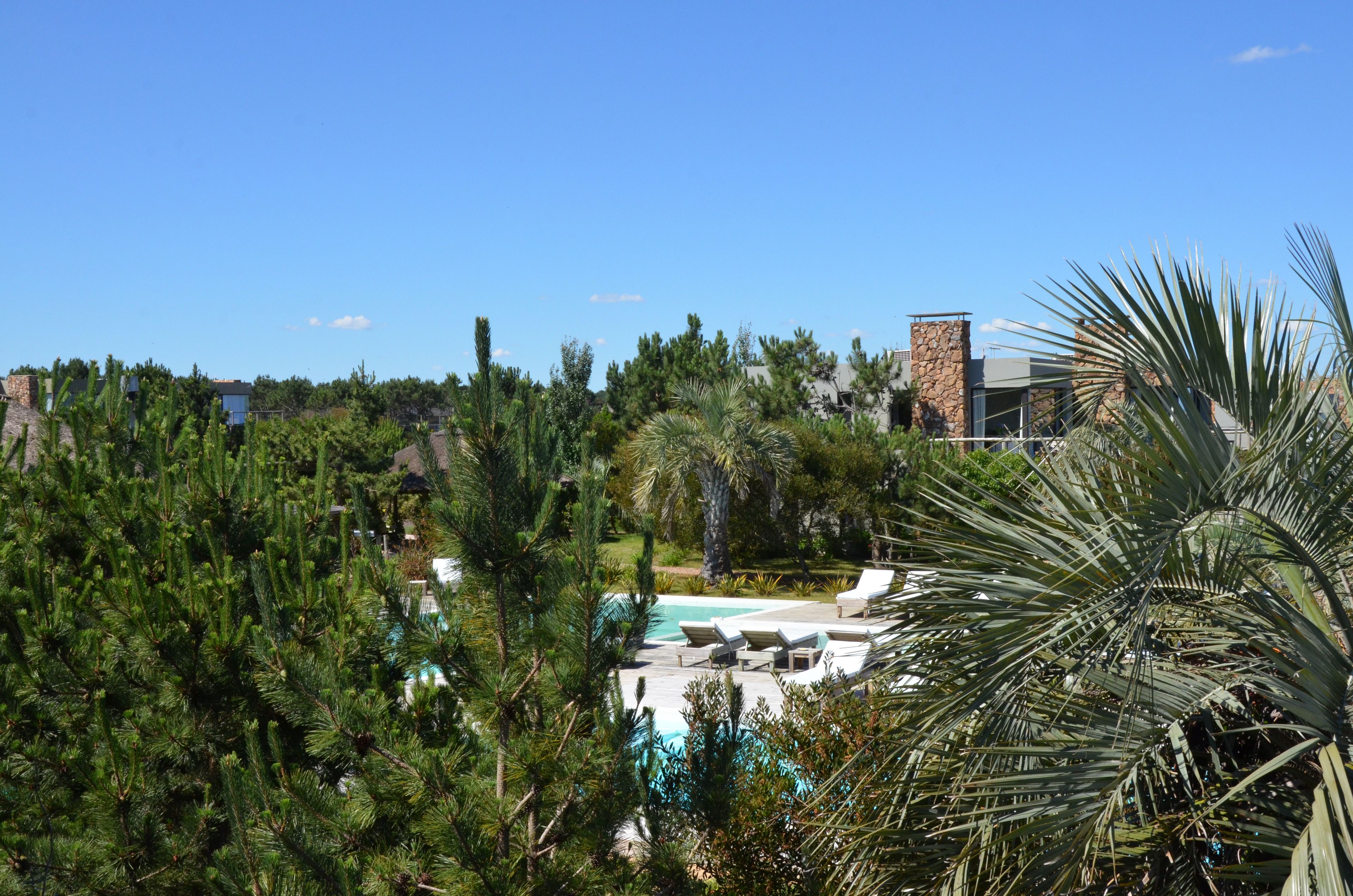 A pool area with lounge chairs, surrounded by dense greenery and a clear blue sky.