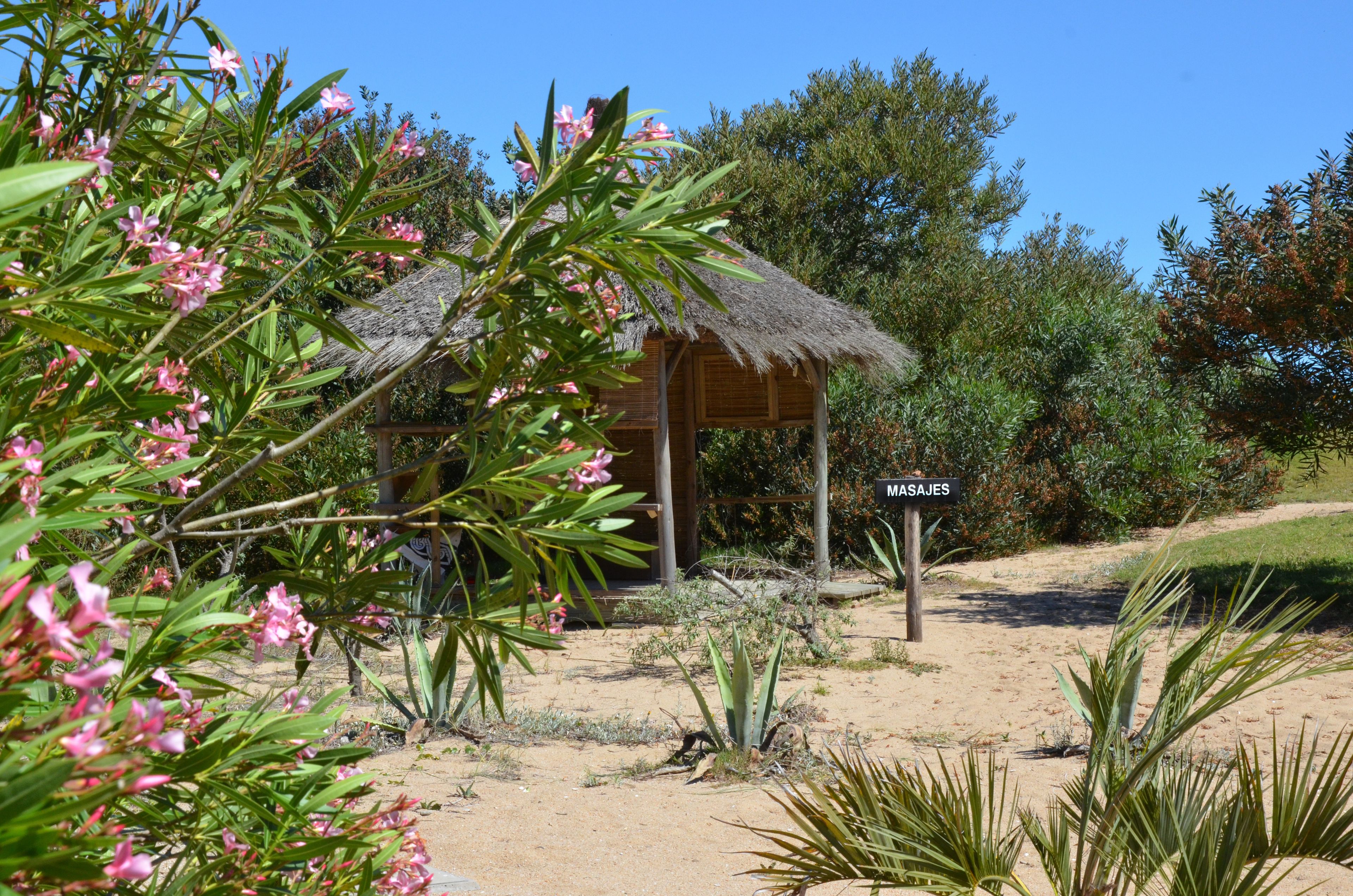 body treatments, aromatherapy, massages on the beach