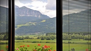 A view from a window with a mountain landscape, including green fields and a house in the distance. - Enzianbrenner Bed & Breakfast (Hermagor-Pressegger See)