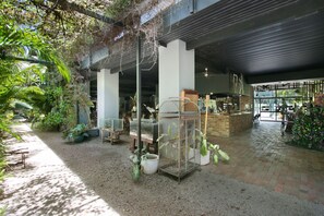 Interior - Daintree Wild Zoo & B&B (Lower Daintree)