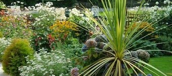 Elerkey Guest House - B&B