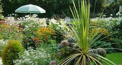 Elerkey Guest House - B&B