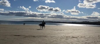 Elerkey Guest House - B&B