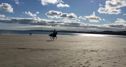 Elerkey Guest House - B&B