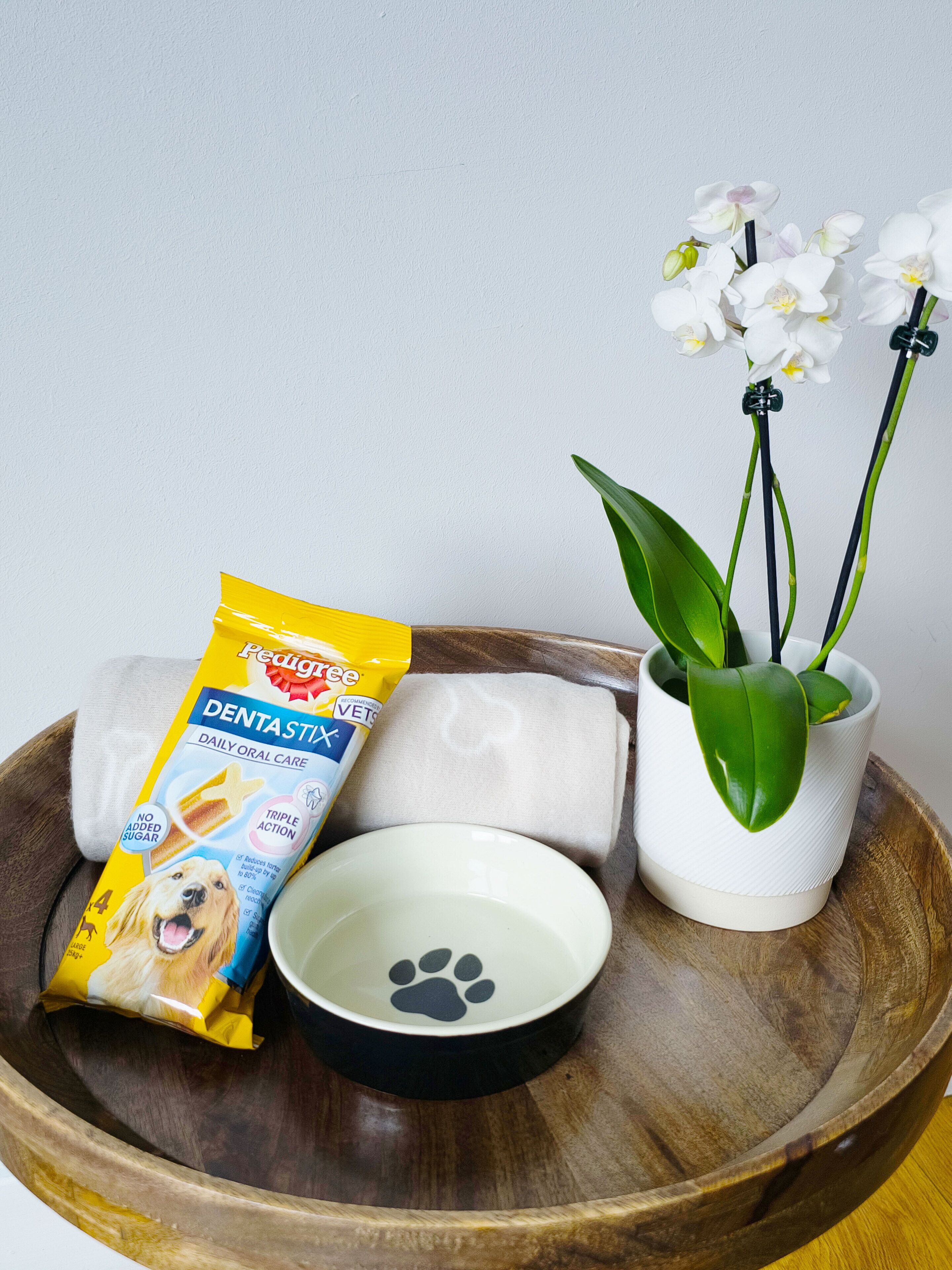 A wooden tray with a pet food bag, a white bowl with a paw print, and a potted orchid.