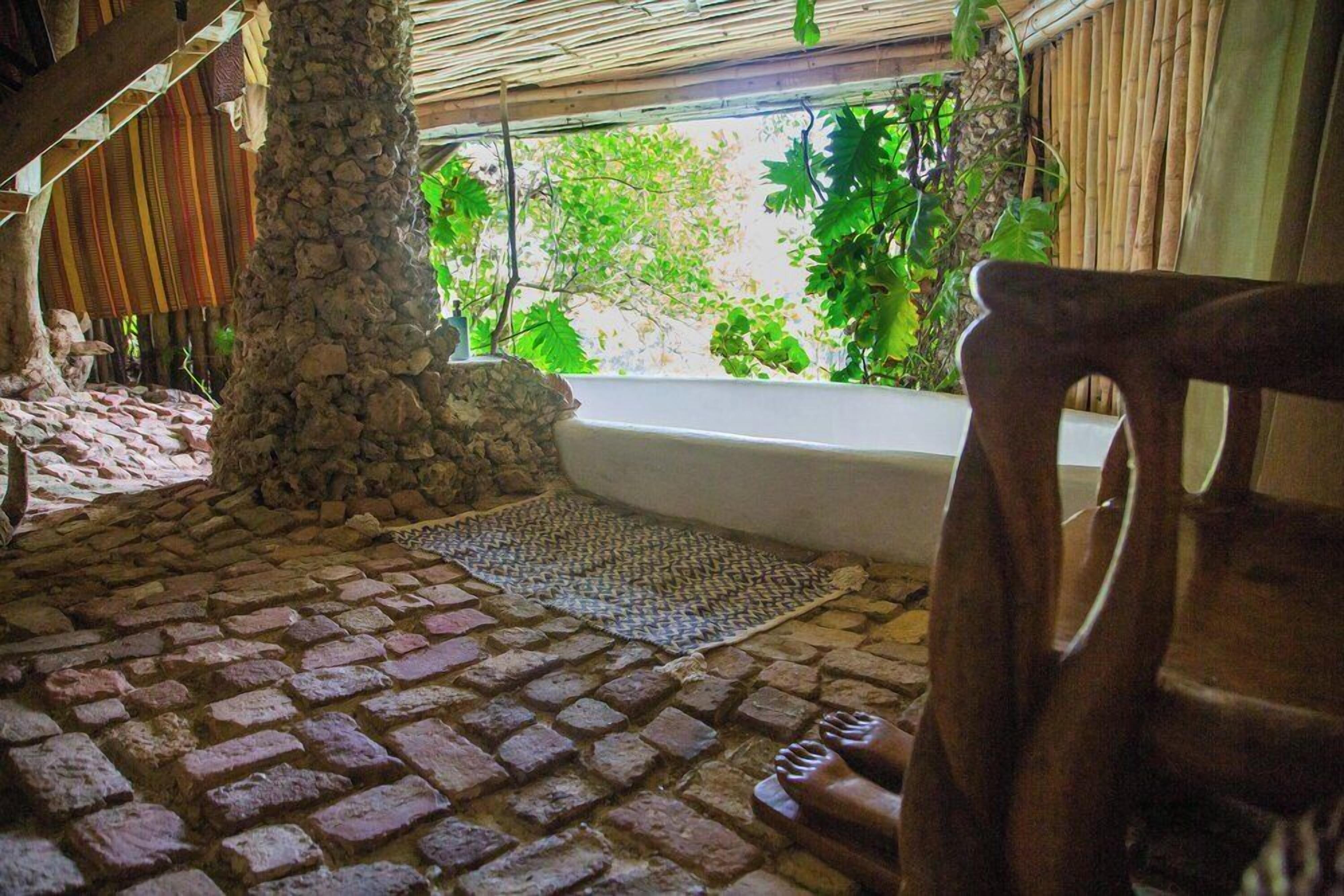 fig tree | deep-soaking bathtub