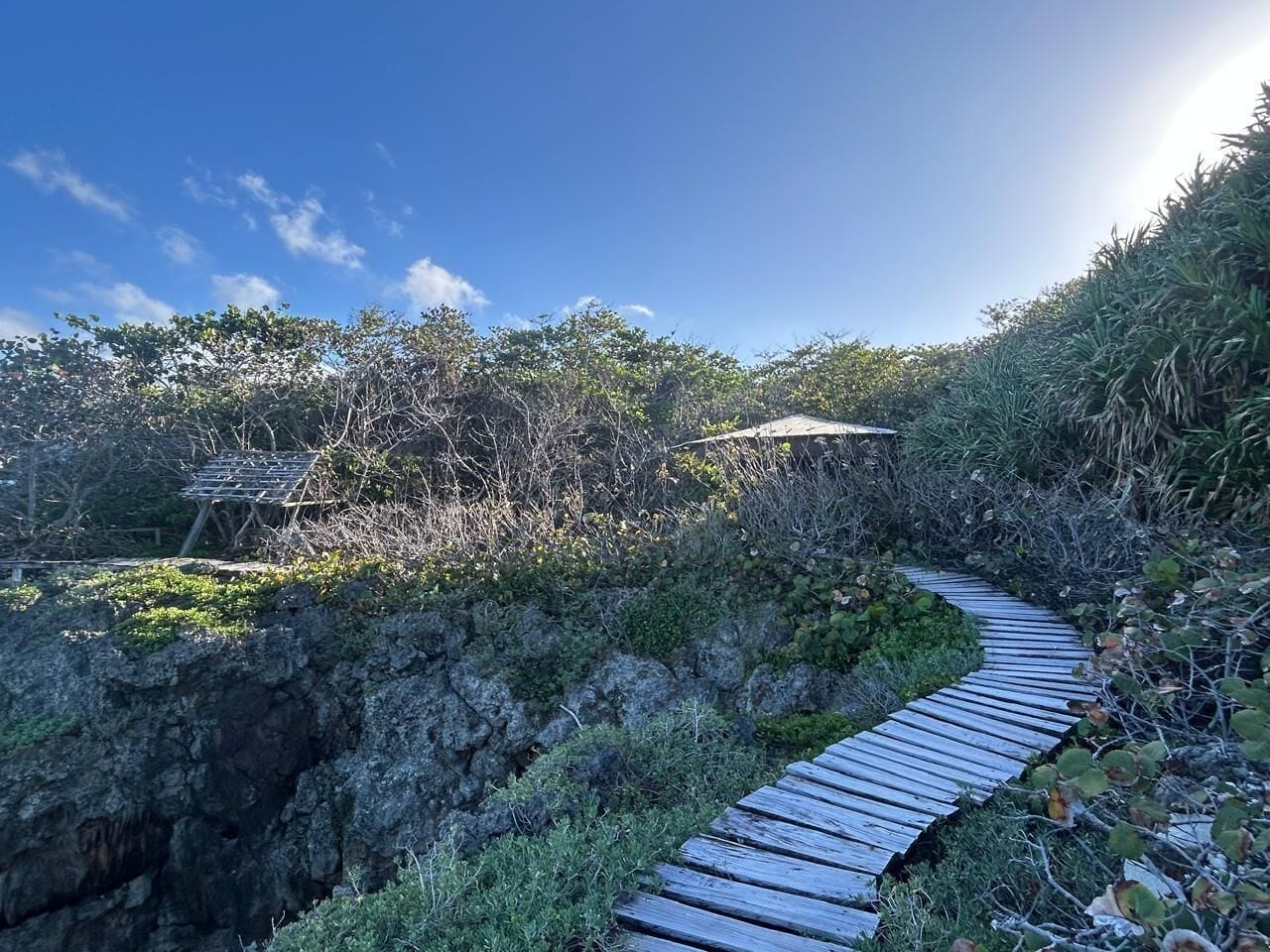 A wooden boardwalk winding through a rocky landscape with dense vegetation.