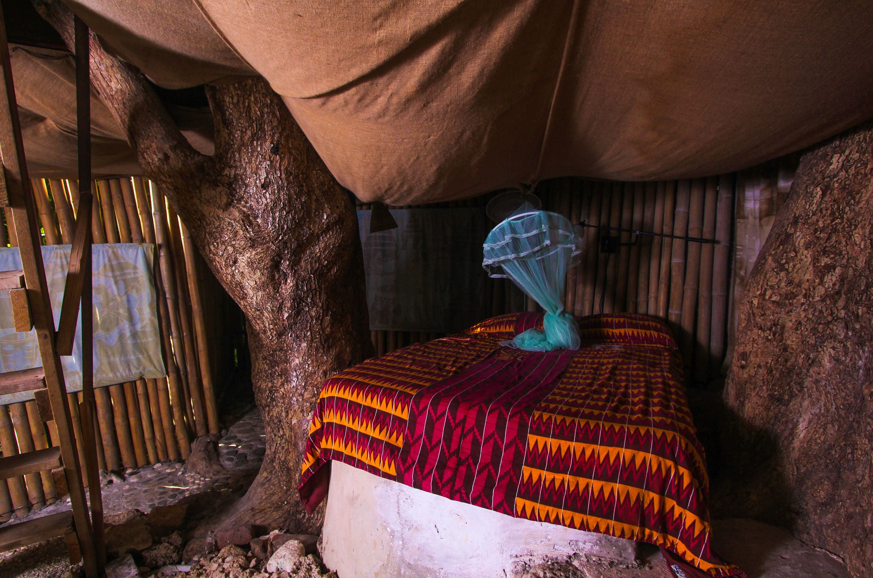 A rustic room with a bed under a large tree, bamboo walls, and a simple mosquito net.
