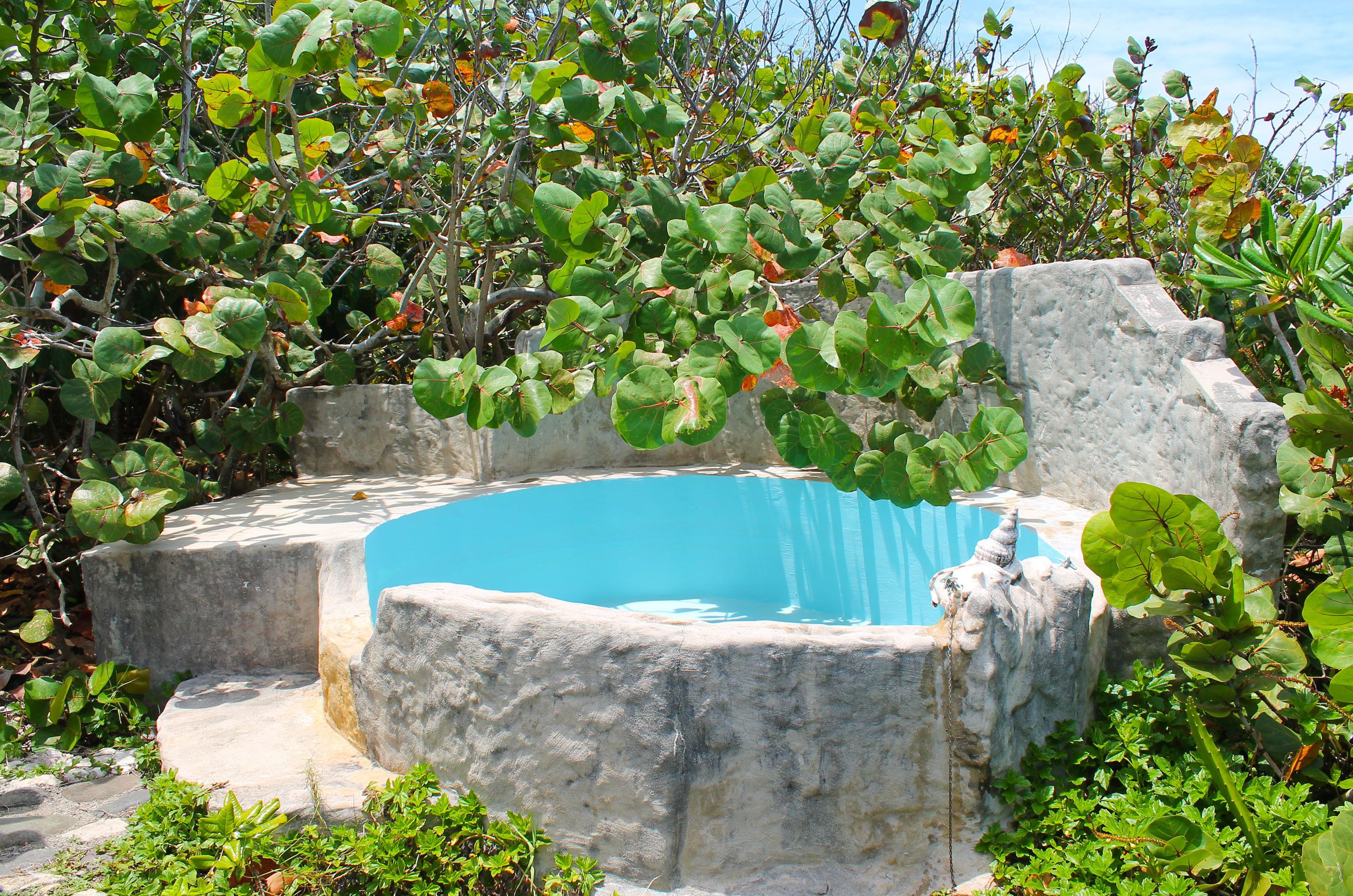 sea grape  | deep-soaking bathtub