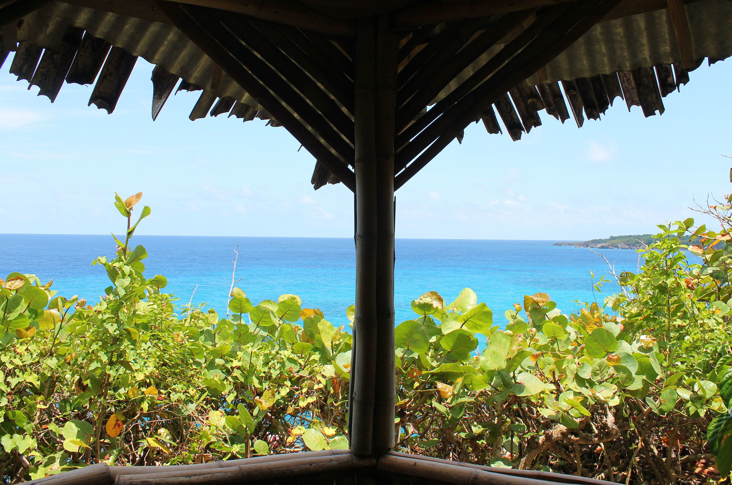 sea grape  | view from room