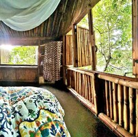 Bamboo Tree | 1 多间卧室、羽绒被、客房内保险箱、特色装修