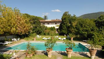 Area piscina con lettini e piante in vaso.