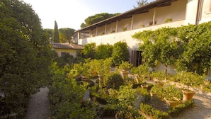 Un patio con plantas en macetas y un edificio de techo de tejas.