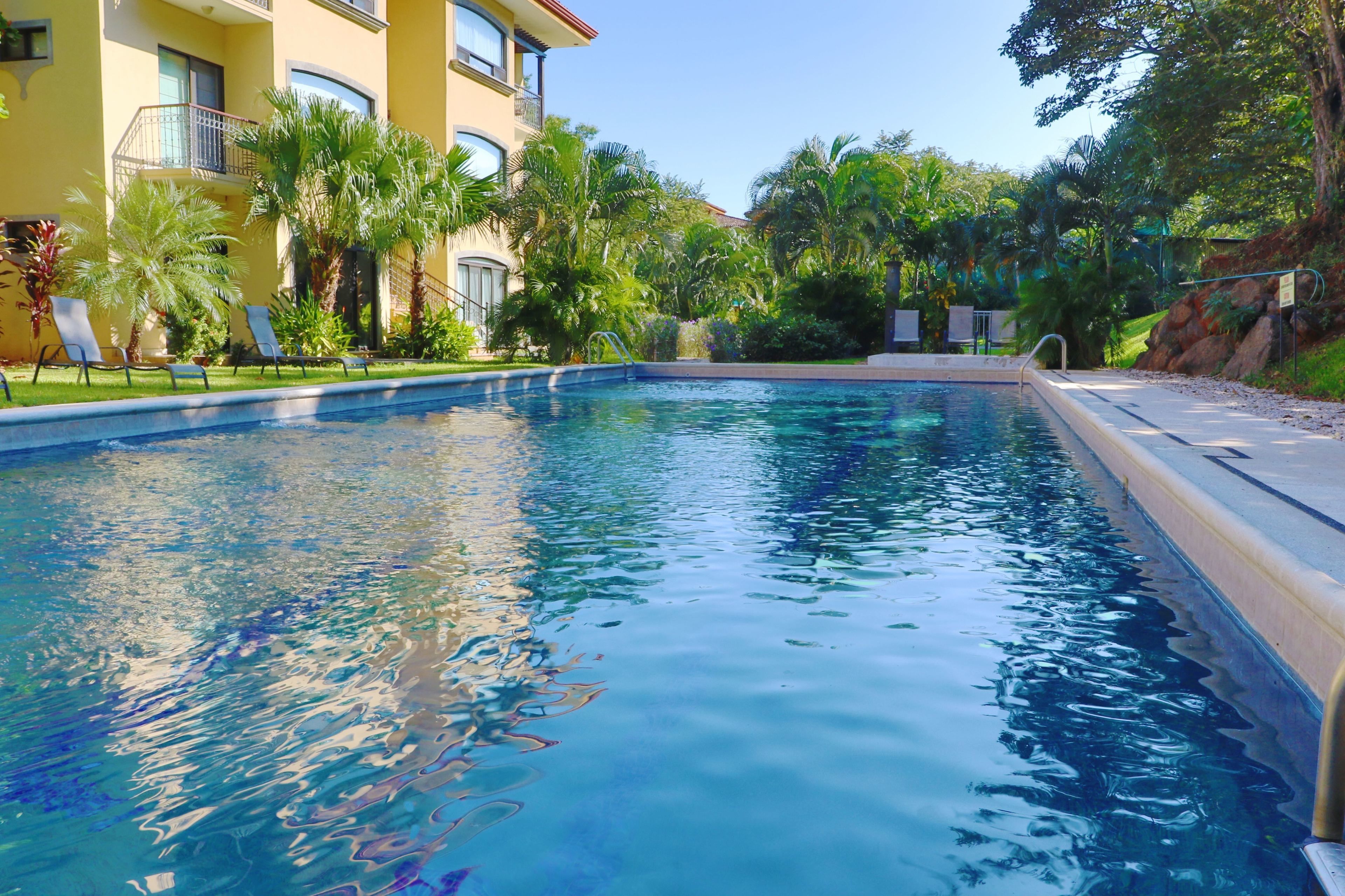 A swimming pool with lounge chairs and palm trees.
