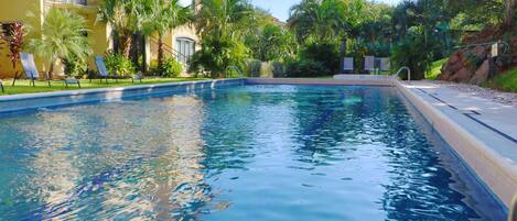 A swimming pool with lounge chairs and palm trees.