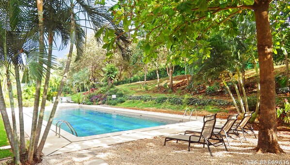 4 outdoor pools, open 8:00 AM to 10:00 PM, pool loungers