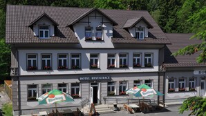 Unclassified image, 4 of 22, button - Hotel Seifert (Nove Hamry)