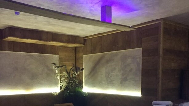 A hot tub with a blue light, wooden walls, and a potted plant. - Relais des Alpes (Sauze d'Oulx)