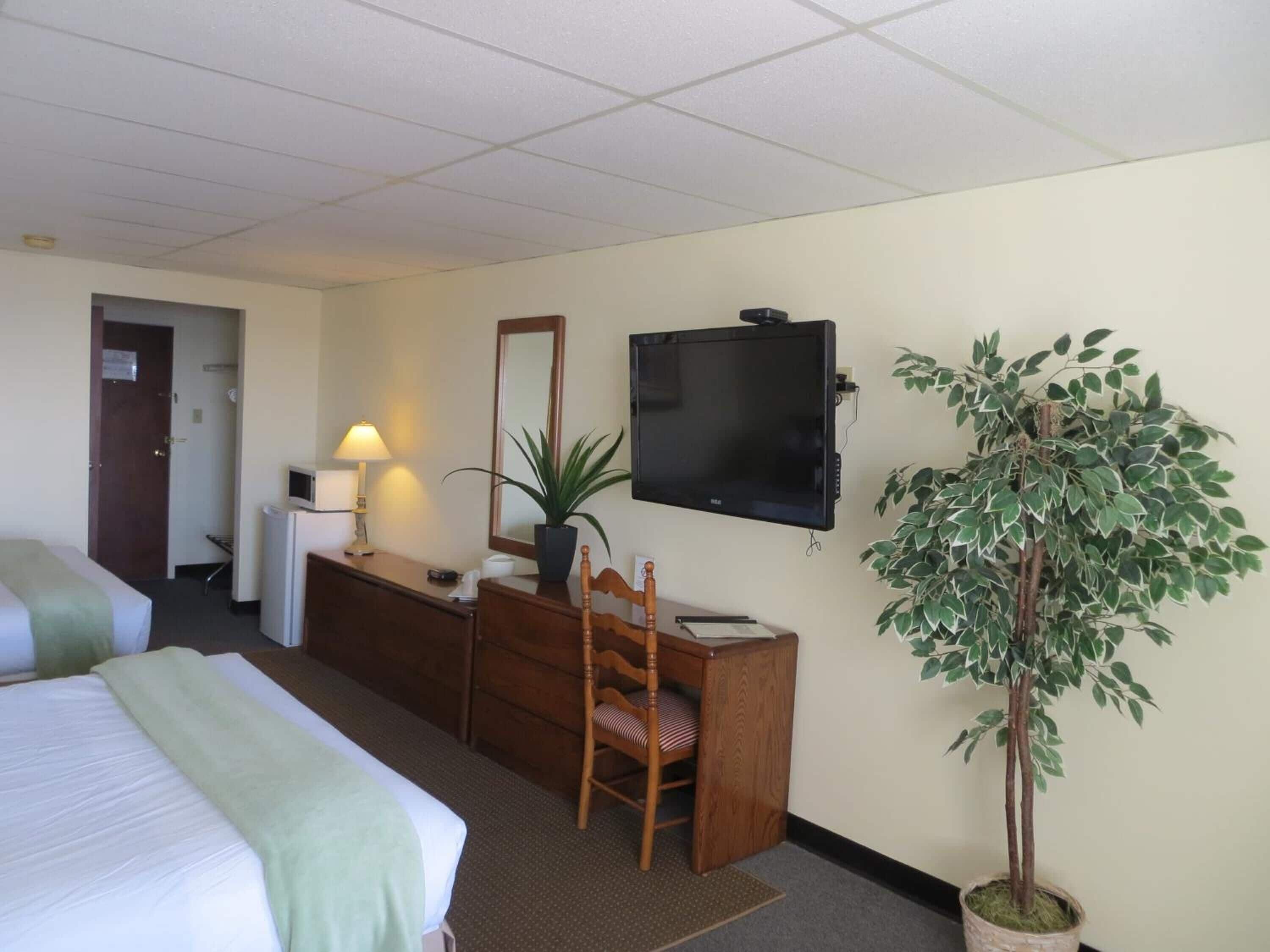 Ein Hotelzimmer mit einem Bett, einem Schreibtisch mit Stuhl, einem Fernseher, einem Spiegel und einer Zimmerpflanze.