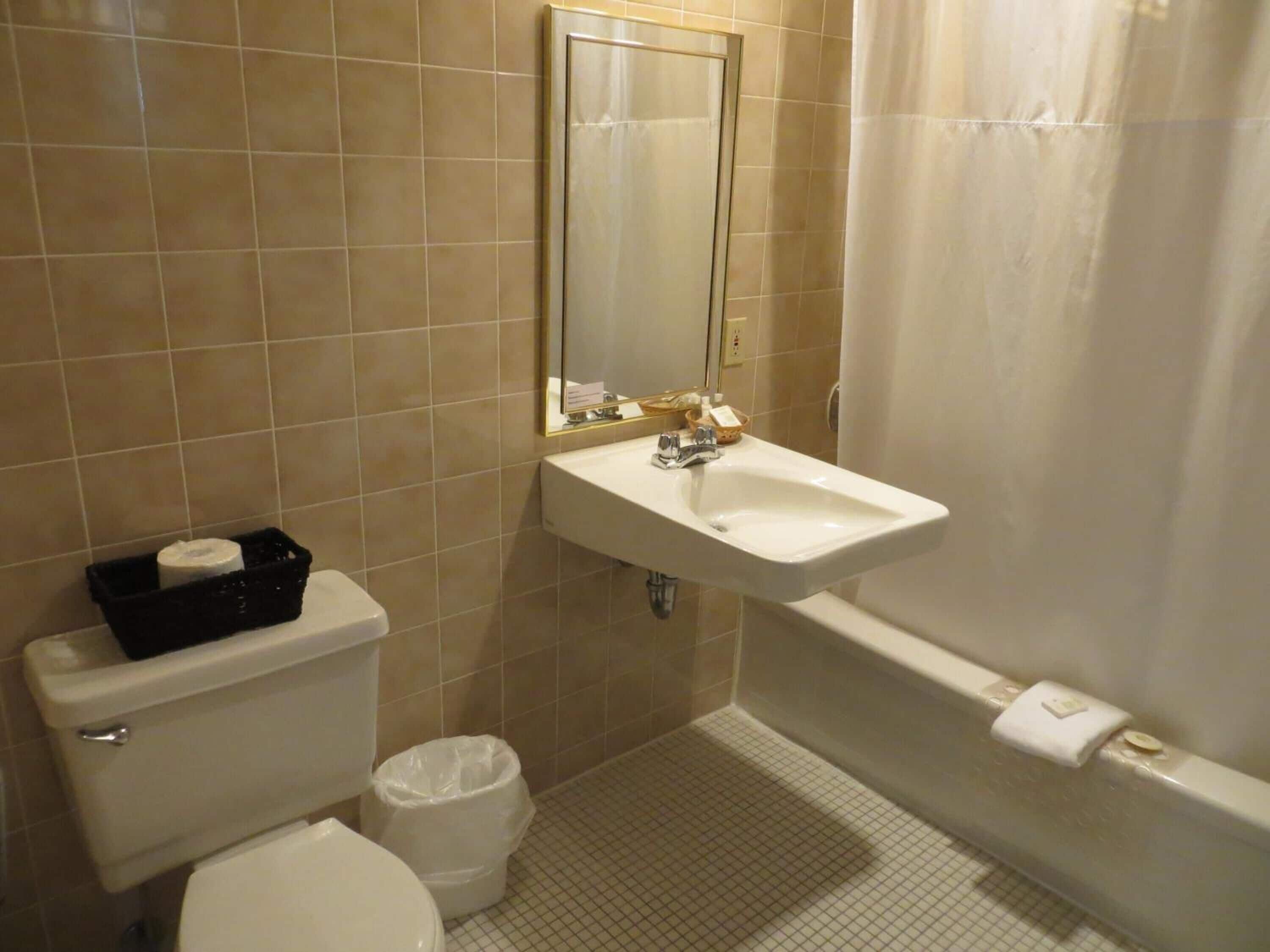 combined shower/bathtub, free toiletries, hair dryer, towels