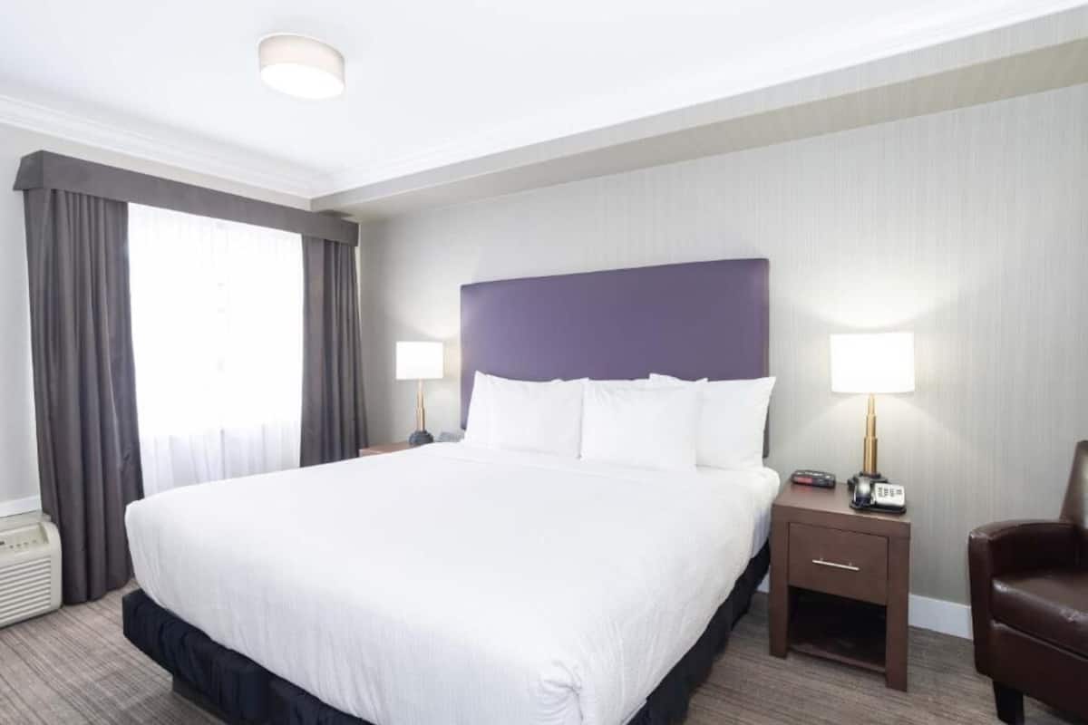A hotel room with a large bed, a nightstand with a lamp, a chair, and a window with curtains.