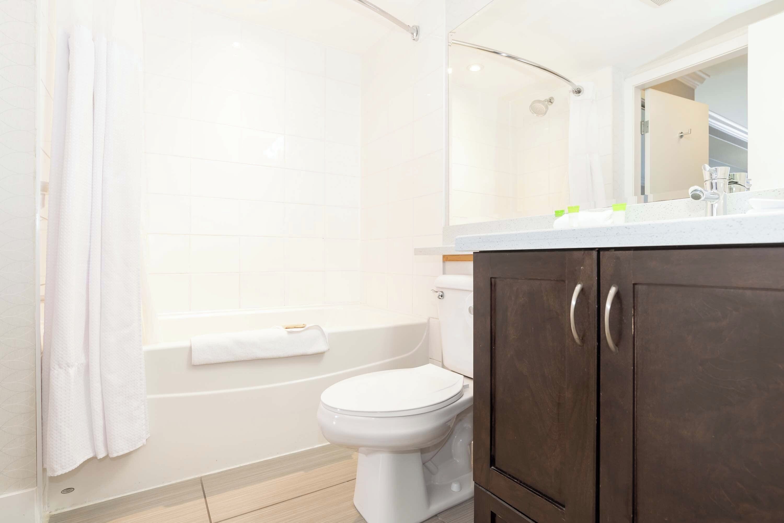 combined shower/bathtub, free toiletries, hair dryer, towels