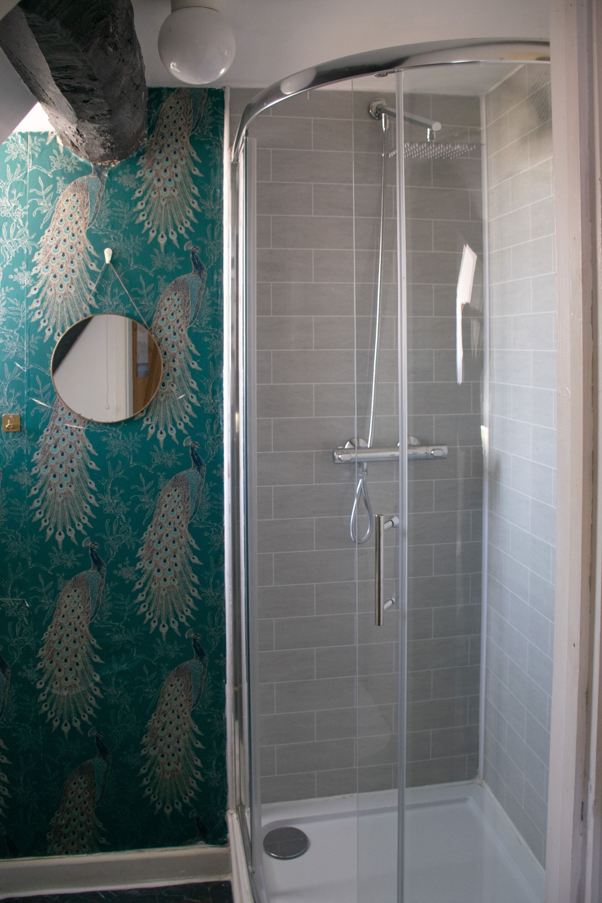 A shower with a glass door, a mirror, and a peacock-patterned wall.