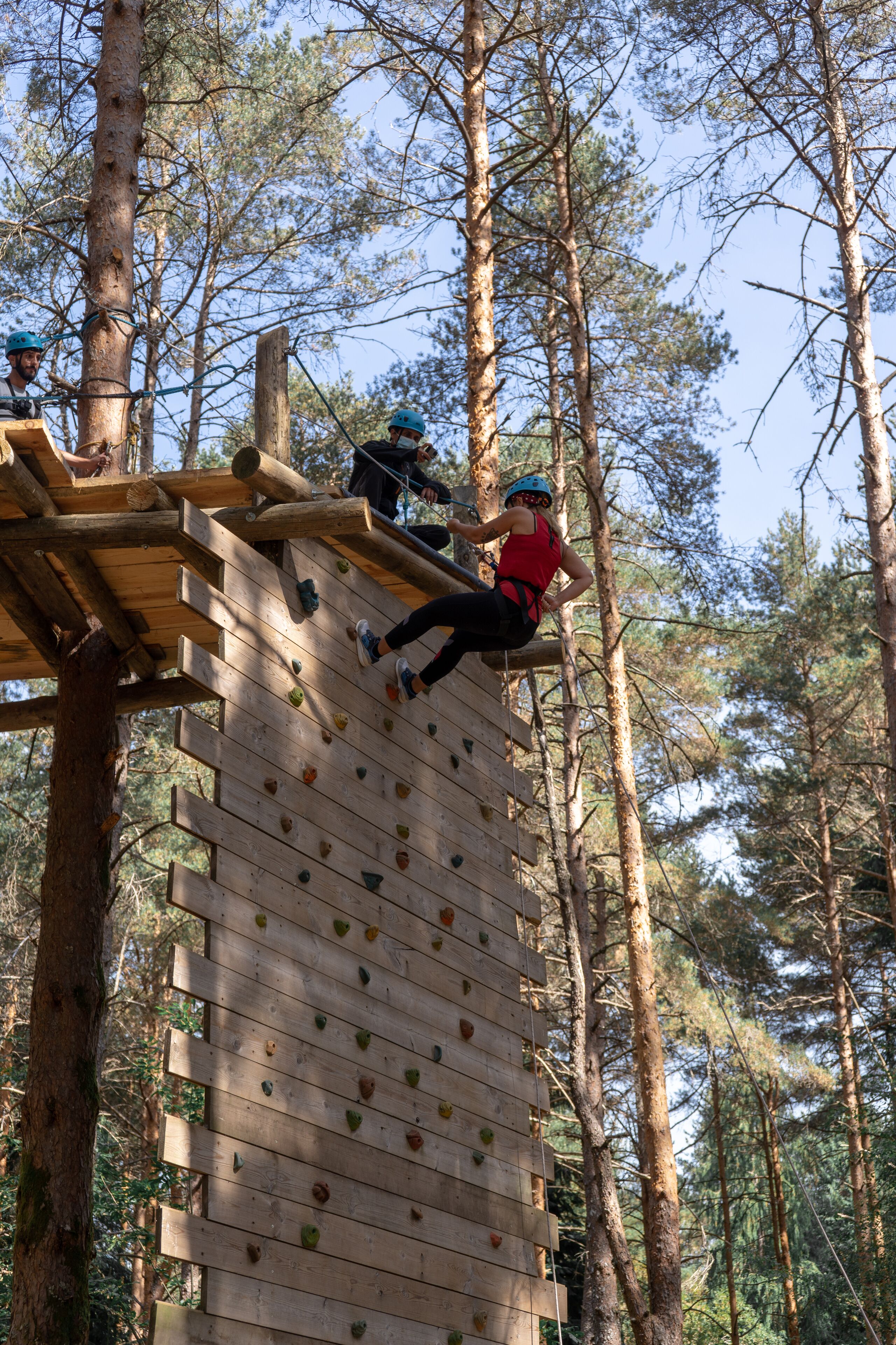 A wooden climbing wall with handholds in a forest setting.