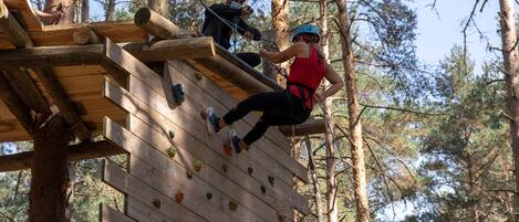A wooden climbing wall with handholds in a forest setting.