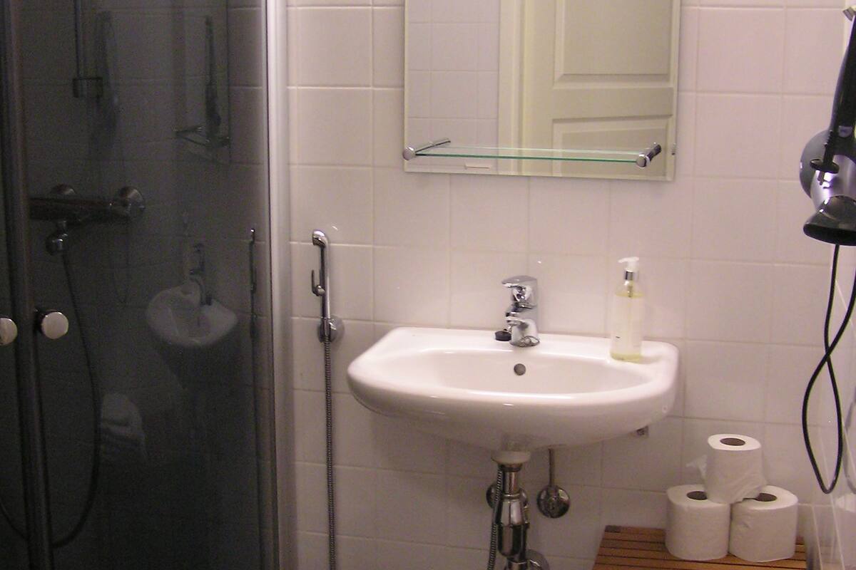 shower, eco-friendly toiletries, hair dryer, towels
