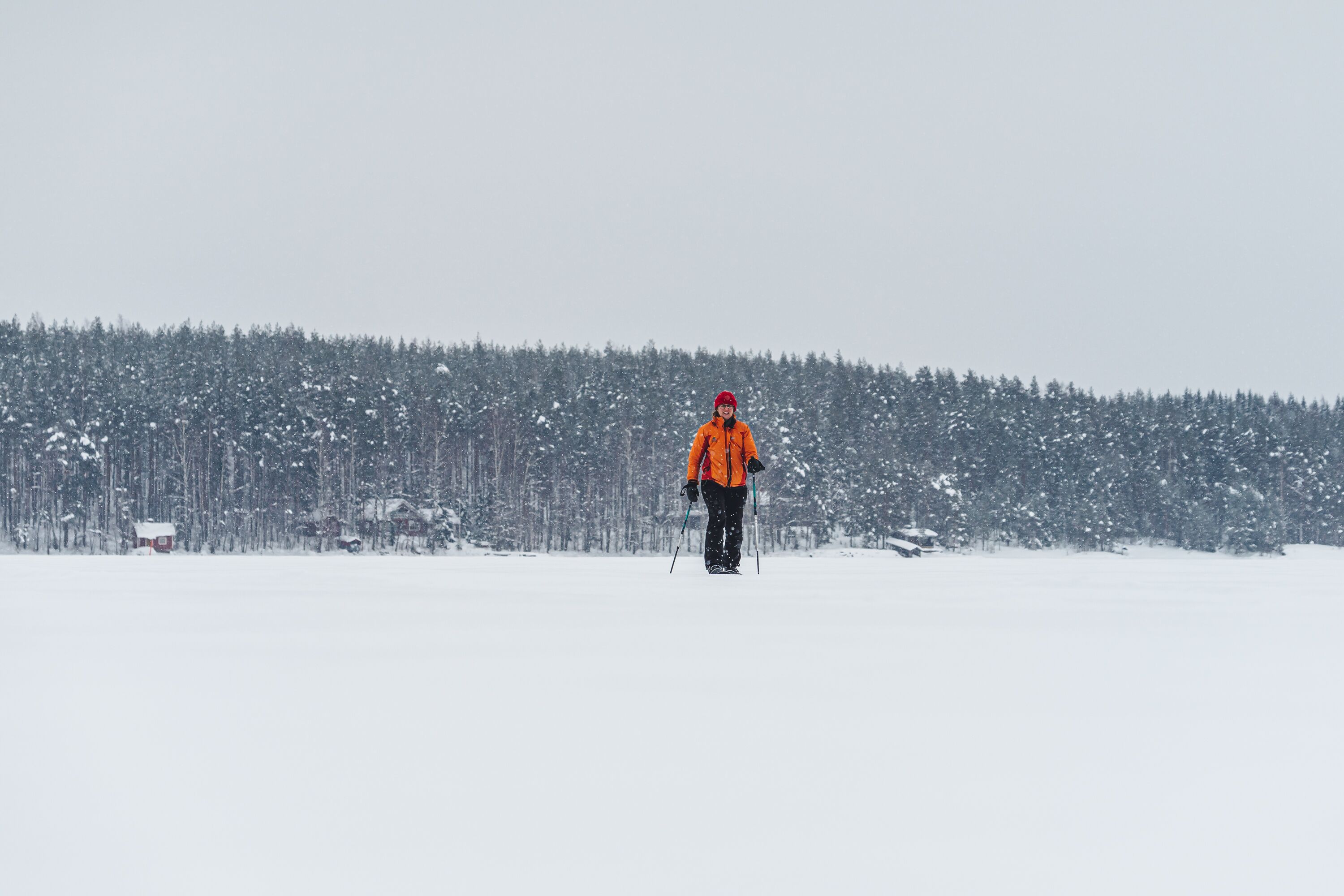 Une personne fait du ski dans un paysage enneigé, avec une forêt en arrière-plan.