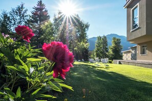 Premium bedding, down comforters, pillowtop beds, individually decorated - Hotel Edelweiss (Davos)