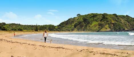 A beach with a person and a dog walking along the shore, a sandy beach, and a hill with greenery in the background.