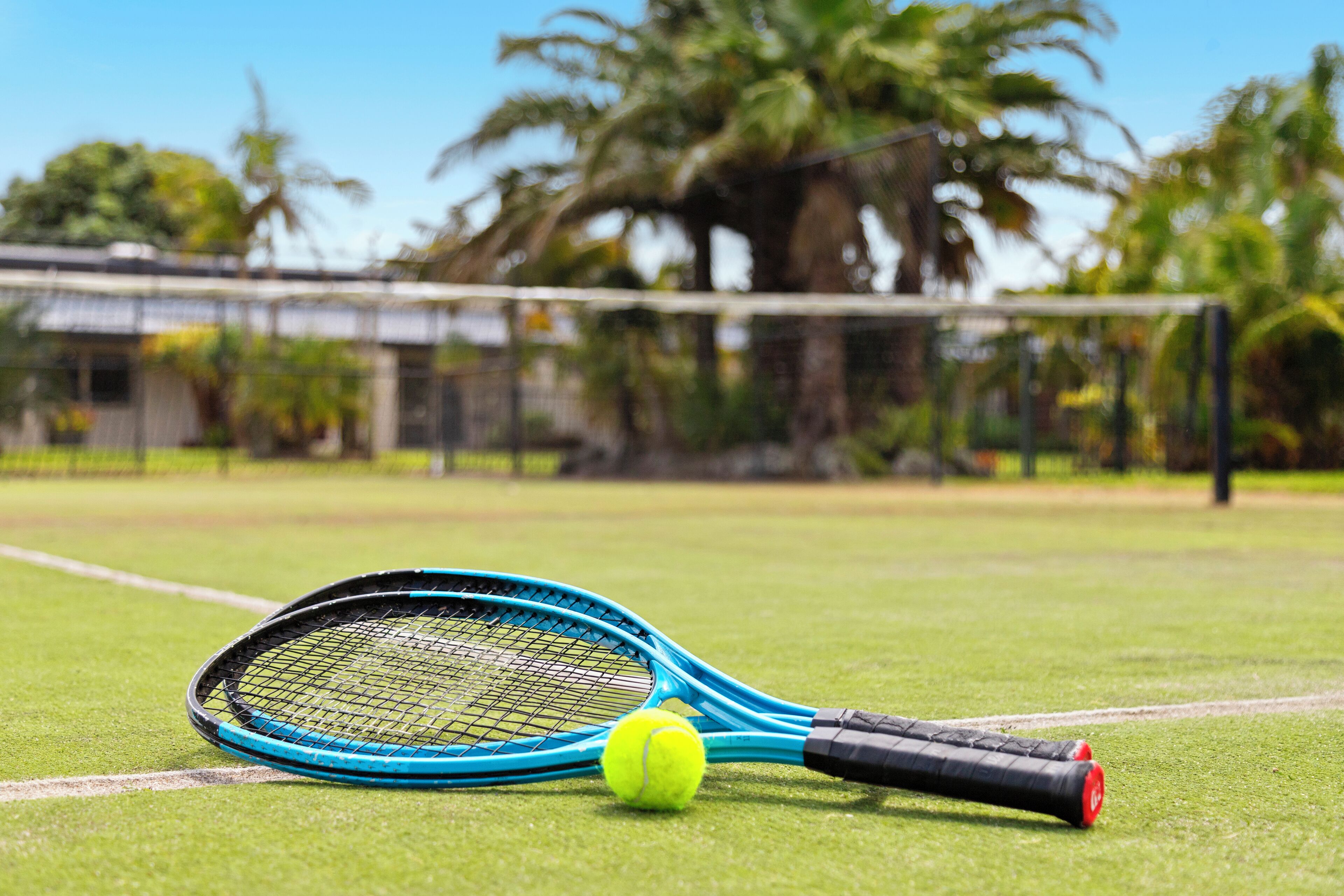A tennis court with a net, a tennis racket, and a tennis ball.